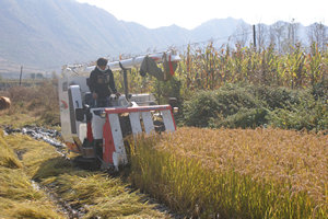 DSC05831_副本.JPG
