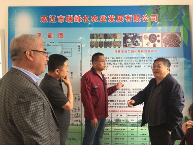 雙遼市人大對市政府貫徹執(zhí)行 《中華人民共和國農(nóng)業(yè)機械化促進法》情況進行檢查(圖文)