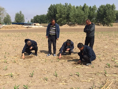雙遼市農(nóng)機局總工程師 吳冠軍一行到臥虎鎮(zhèn)等地調(diào)研保護性耕作(圖文)