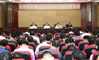 我省大力推廣實(shí)施秸稈覆蓋還田保護(hù)性耕作制度