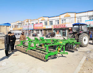 p3.jpg