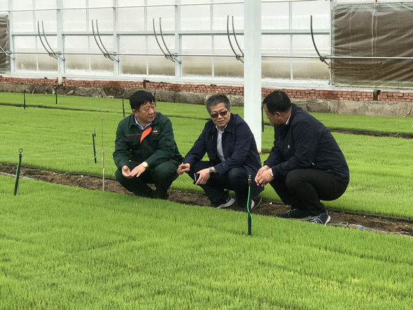 吉林省農(nóng)業(yè)機(jī)械化管理中心赴梅河口、通化開展備春耕生產(chǎn)指導(dǎo)服務(wù)