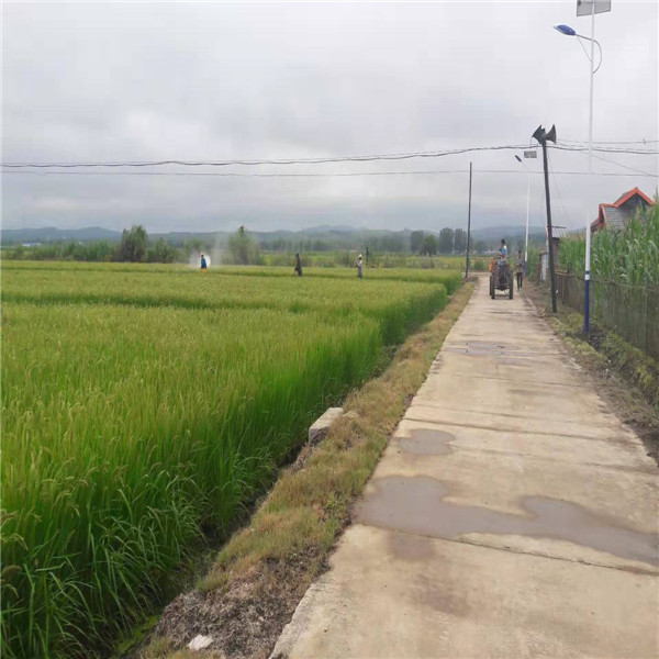 龍井市無人機科技助力種植業(yè)