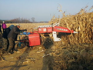 p5.jpg