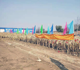 伊通縣景臺(tái)鎮(zhèn)農(nóng)機(jī)化技術(shù)服務(wù)團(tuán)隊(duì)參加秋季收割現(xiàn)場(chǎng)會(huì)(圖文)