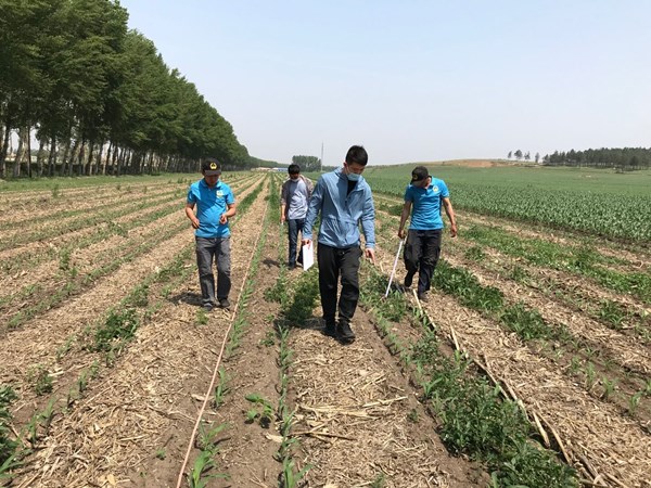 烈日茲當艷陽天  精準測查入田間