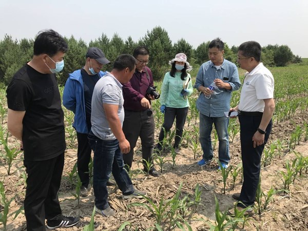 專家"巡診把脈開良方"  助力保護性耕作技術(shù)推廣