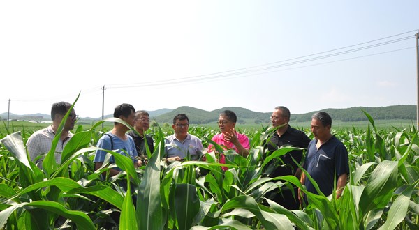 專家齊聚冷涼高濕山區(qū)“會(huì)診”保護(hù)性耕作“癥結(jié)”開“良方”