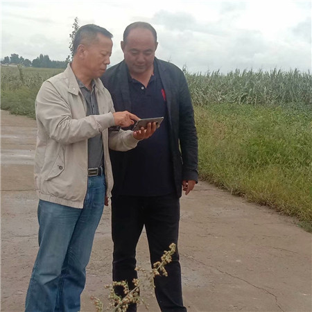  臺風無情，人有情