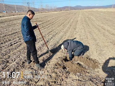 琿春市農(nóng)機(jī)推廣站開展深松整地補(bǔ)助地塊抽查工作