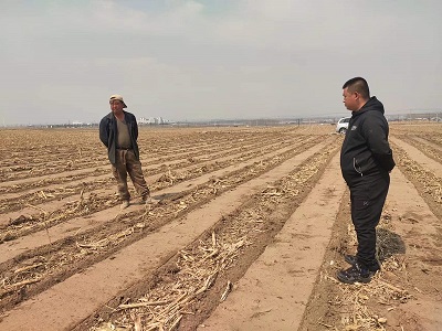 琿春市首次推廣應用秸稈歸行條耕寬窄行種植技術(shù)模式