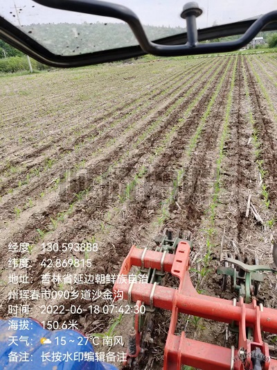 玉米保護性耕作地使用專用深松機苗期深松效果好