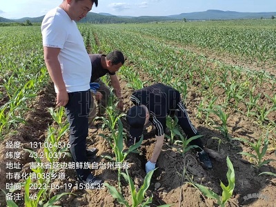琿春市組織開展苗期深松作業(yè)質(zhì)量檢查