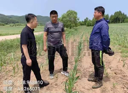 安圖縣明月鎮(zhèn)超前完成保護(hù)性耕作抽查核驗(yàn)工作