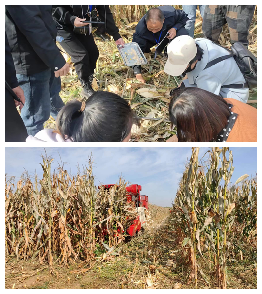 圖片1_副本_副本.png