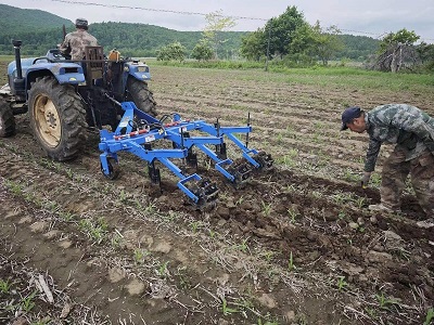 琿春市農(nóng)機推廣站檢查指導苗期深松作業(yè)進行時