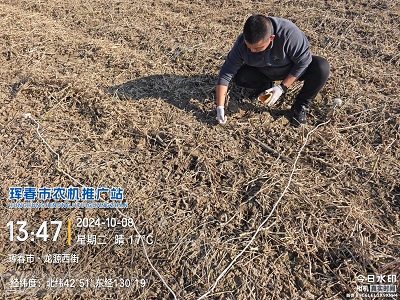 琿春市農(nóng)機(jī)推廣站開始機(jī)收損失率測(cè)定工作