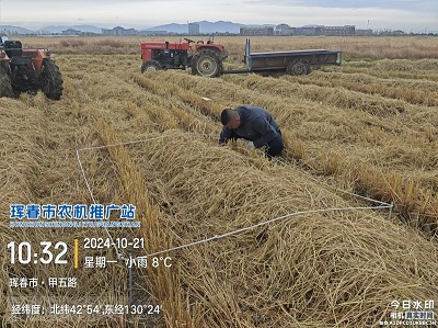 琿春市農機推廣站完成機收損失率測定工作