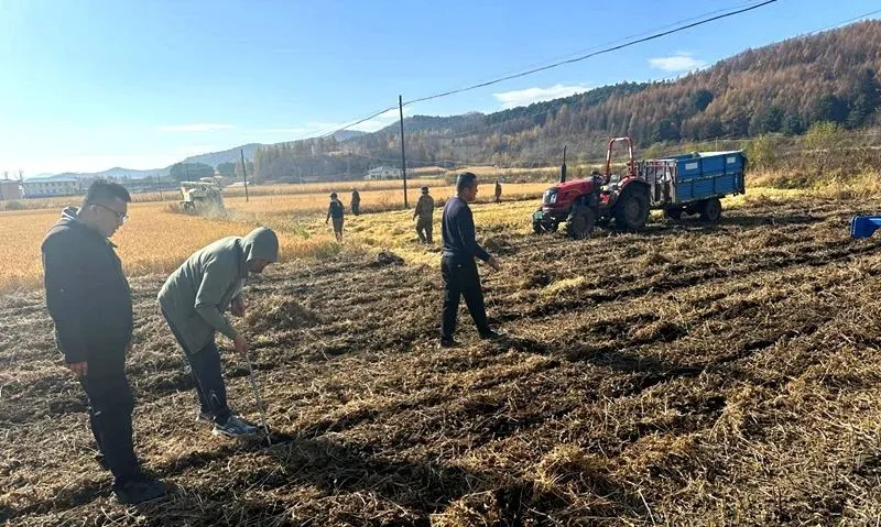 安圖縣明月鎮(zhèn)：農機深松整地作業(yè) 讓土地“深呼吸”